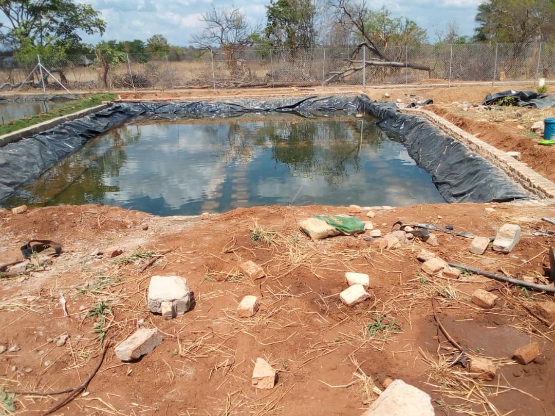 Fish Pond Construction